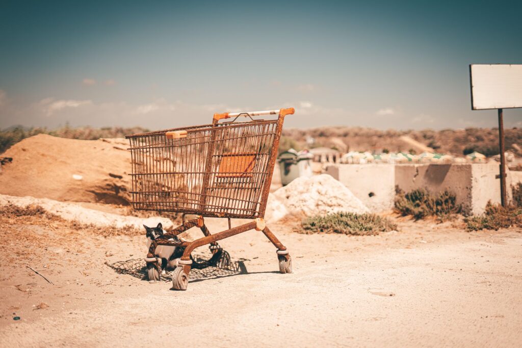 How to reduce cart abandonment with email automation — Understanding Cart Abandonment Email Automation